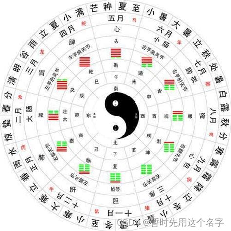 丁癸|天干地支五行对照表